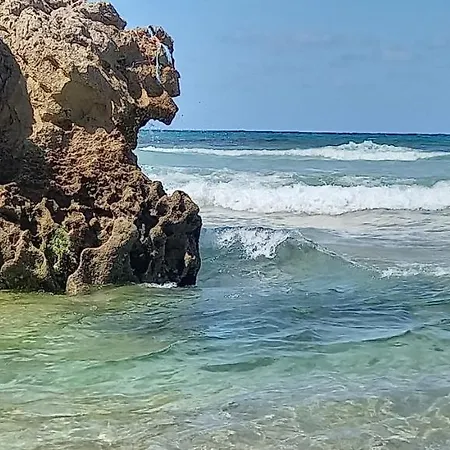 Apartman Filipe's House