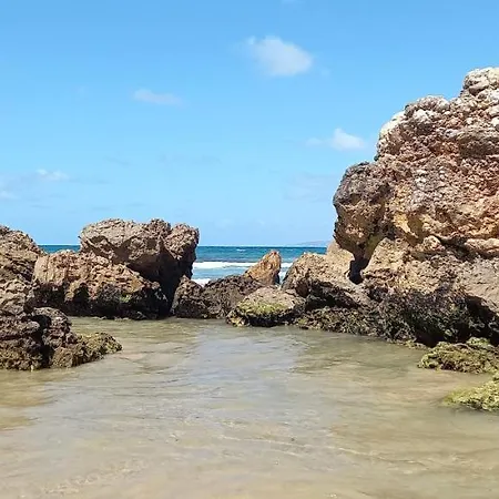 Apartment Filipe's House *