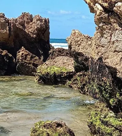 Filipe's House شقة