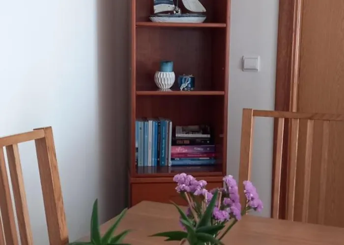 Διαμέρισμα Filipe's House Baleal